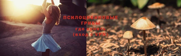 гидропоника Белокуриха