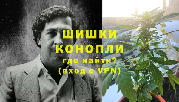 гидропоника Белокуриха