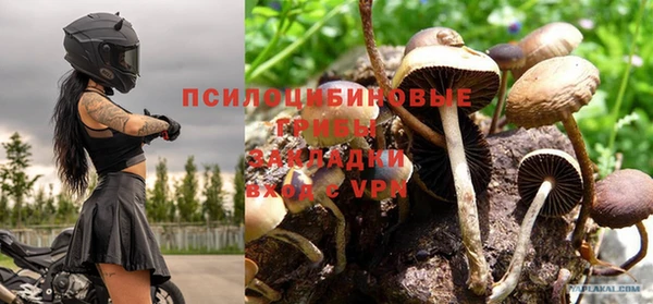 гашишное масло Беломорск