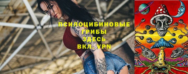 гидропоника Белокуриха