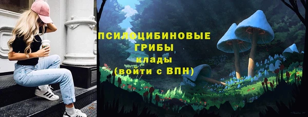 ГАЛЛЮЦИНОГЕННЫЕ ГРИБЫ Белоозёрский