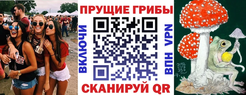 Псилоцибиновые грибы MAGIC MUSHROOMS  Томилино 
